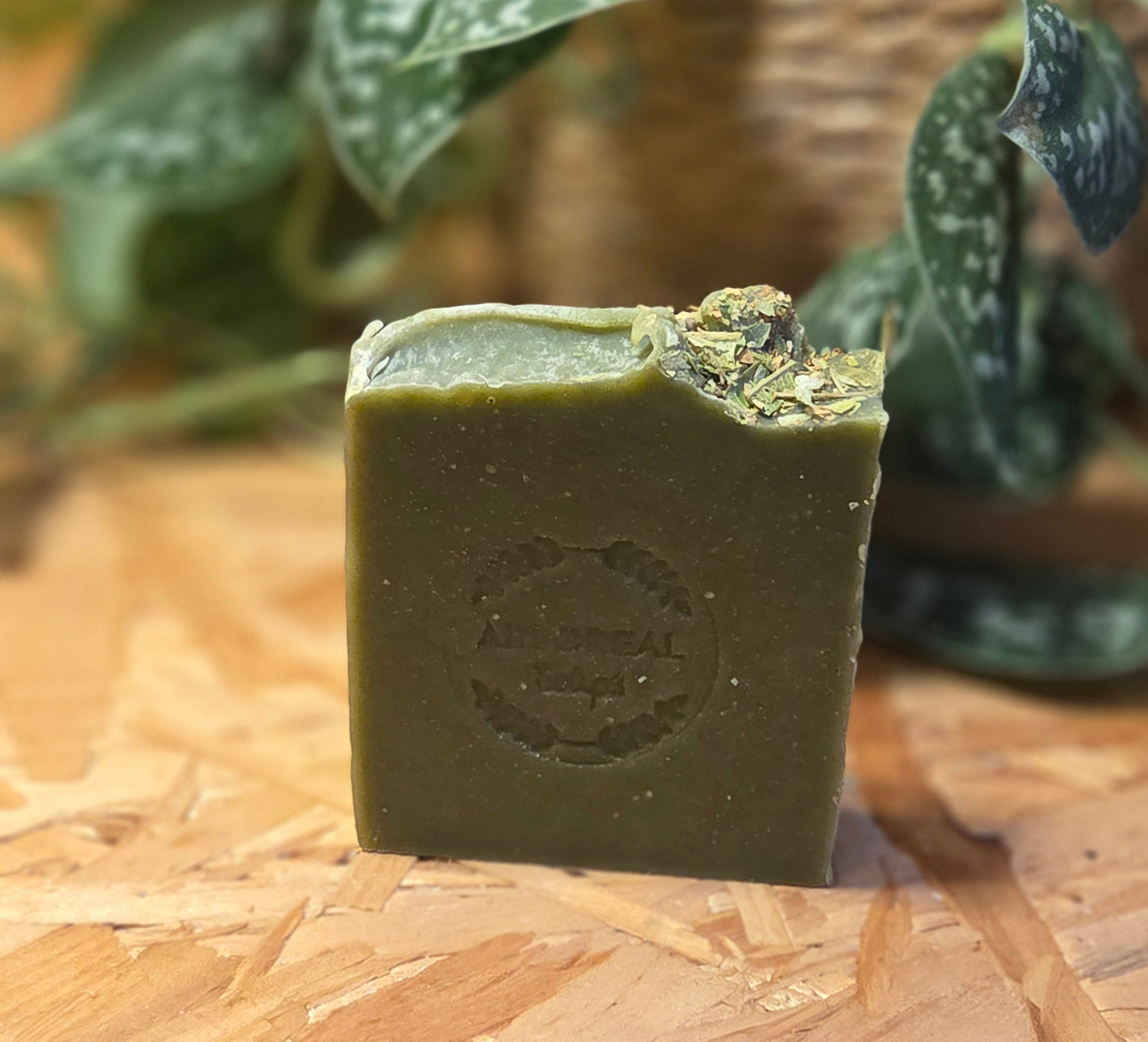 botanical Garden Moss - Artisan Soap Bar