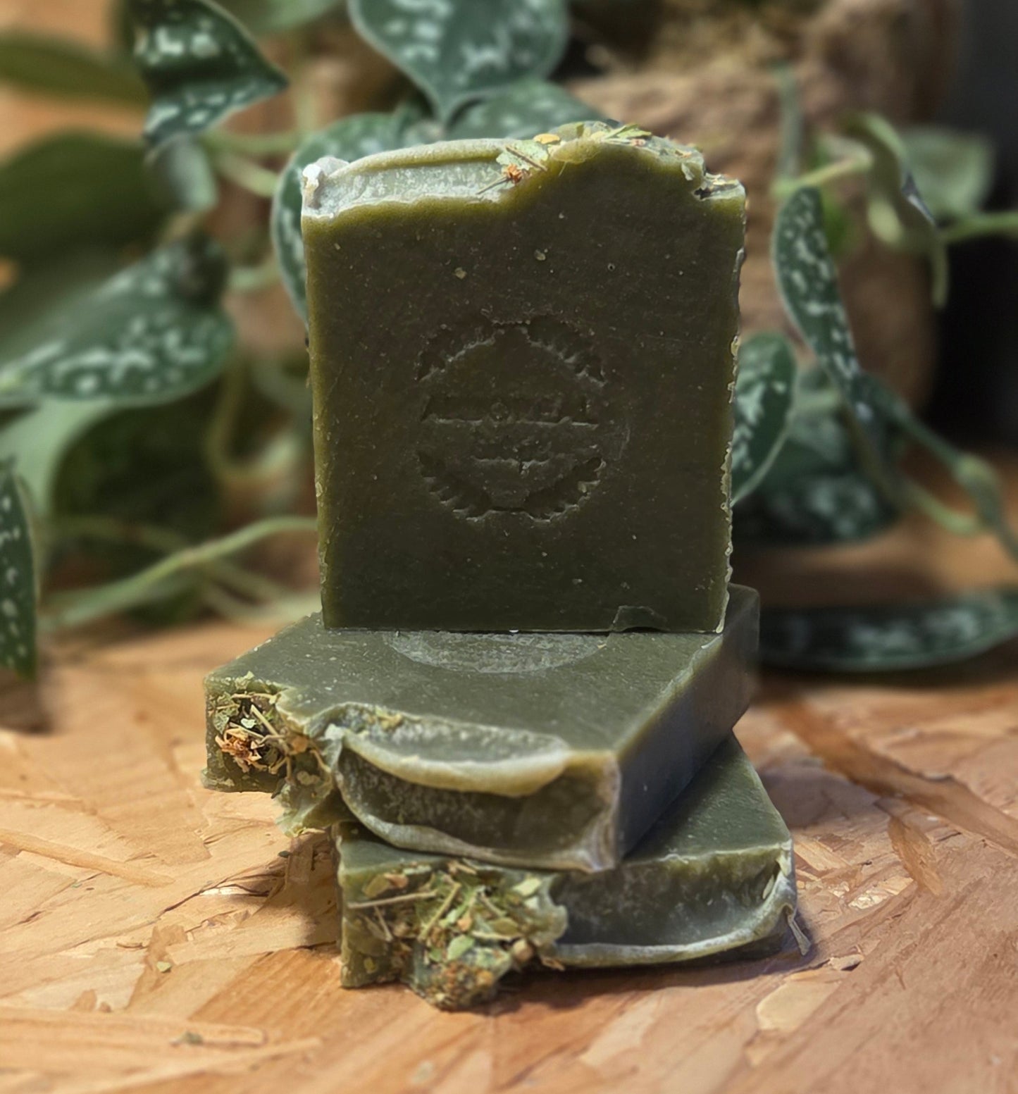 botanical Garden Moss - Artisan Soap Bar