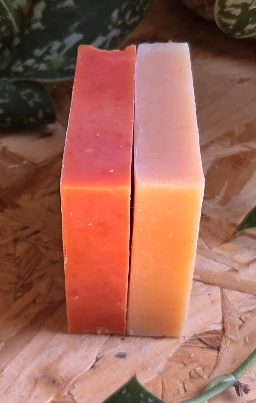 Perfect Pair | 2 Soap Bar Subscription