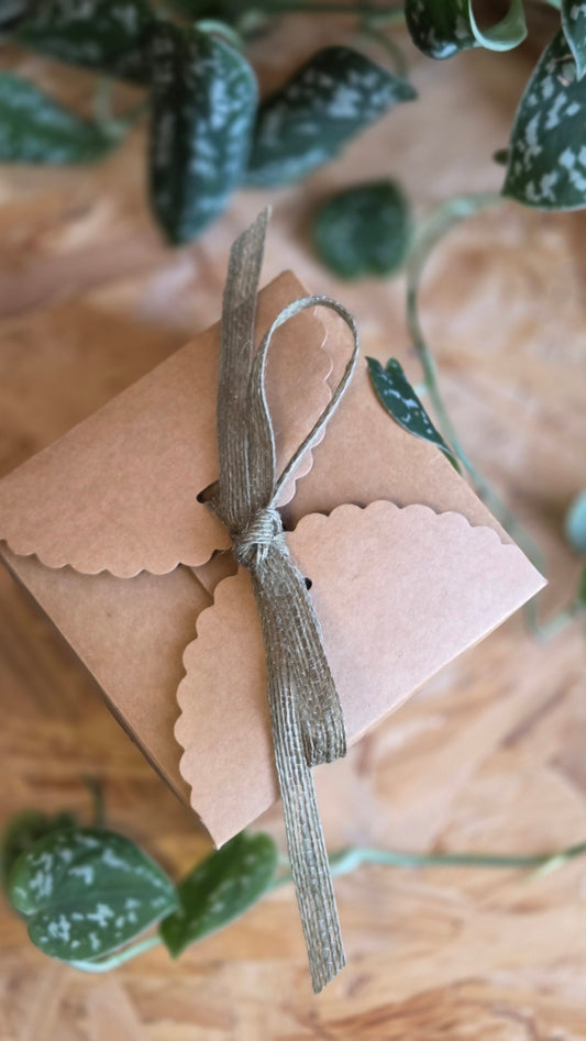 Gift Box - Soap & Leaf Soap Dish